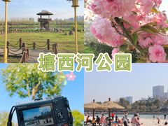 -滨湖塘西河公园