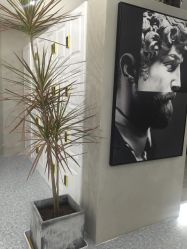 -那茉 Hair Salon