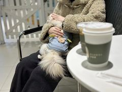 -怪兽屋·羊驼·猫咖·狗咖(俊华广场店)