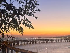 -星海湾跨海大桥