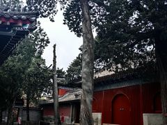 -承恩寺