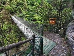 -东林大峡谷