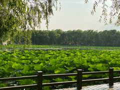 -长春市南湖公园