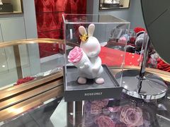 -ROSEONLY诺誓(磐基中心店)