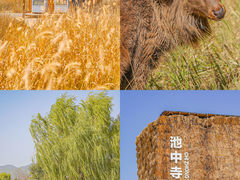 -良渚古城遗址公园