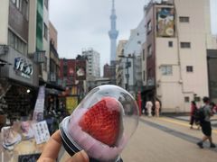 -浅草莓座(あさくさいちござ)