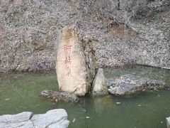 -盛世牡丹苑生态文化旅游区