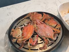 -半岛听涛蒸汽海鲜自助(K11店)