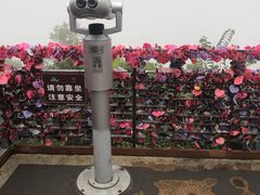 -茶颜悦色(岳麓山顶店)
