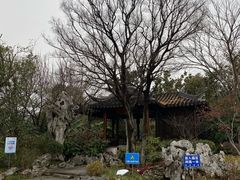-巡塘古镇