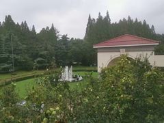 -上海虹桥迎宾馆