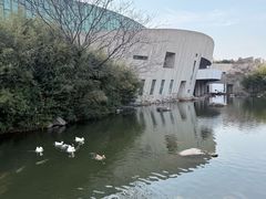 -新江湾城公园