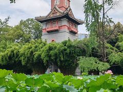 -四川大学(华西校区)