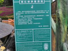 -都江堰玫瑰花溪谷