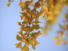 -白塘生态植物园