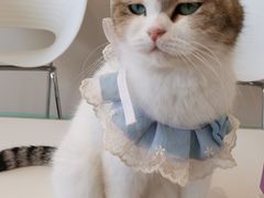 -怪兽屋·羊驼·猫咖·狗咖(俊华广场店)