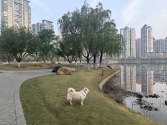 -西北湖绿化广场