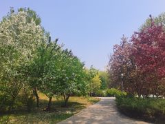 -北极寺公园