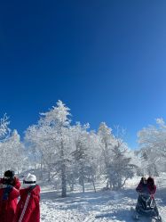 -大秃顶子山(雪谷店)