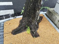 -颐和路民国时期公馆风貌区