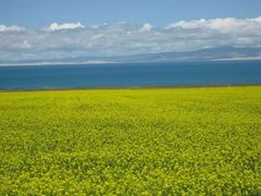 -青海湖国家重点风景名胜区