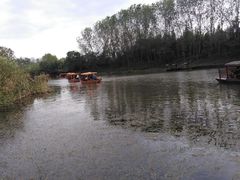 -溱湖国家湿地公园