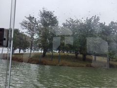 -金沙湖旅游度假区