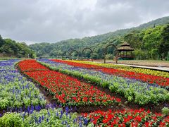 -广州市石门国家森林公园