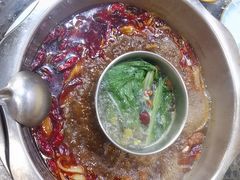 -金鼎雪山牦牛杂火锅(理县总店)