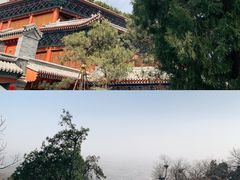 -八大处公园