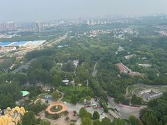 -辛玛王国游乐园