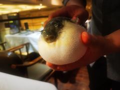 -肆月河豚·新淮扬(金融街店)