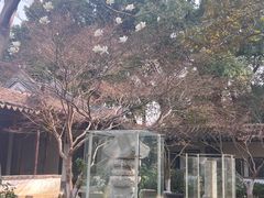 -常熟方塔园