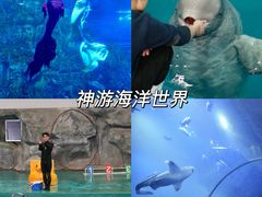 -威海华夏城景区