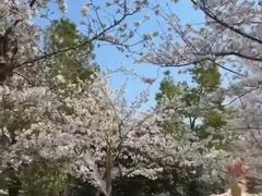 -堤角公园