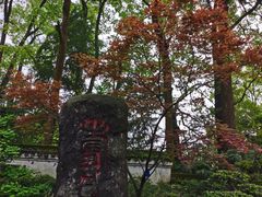 -南山植物园
