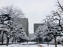 -中央民族大学