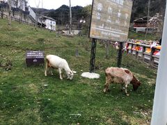 -硗碛藏寨·神木垒景区