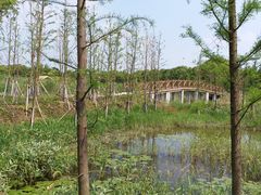 -同里国家湿地公园