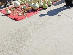 -中环花鸟鱼虫市场