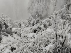 -瓦屋山景区