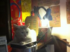 IMG_5278-小雅青年旅舍(平江路店)