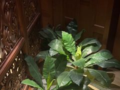 -紫莲花足道(柯桥古镇店)