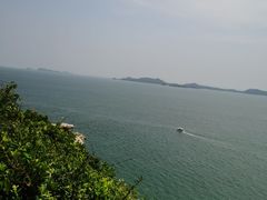 -杨梅坑