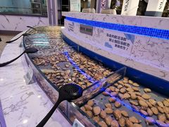 -澜悦港海鲜体验主题餐厅