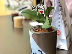 -Seesaw Coffee(苏州中心店)