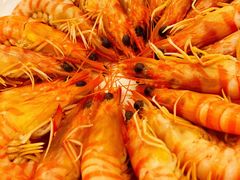斑节虾-海逸海鲜酒家(古北店)