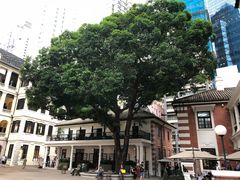 -大馆(前中区警署建築群)