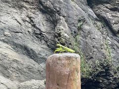 -燕子河大峡谷天坑仙境