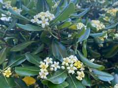 -玄武湖景区-情侣园游乐场